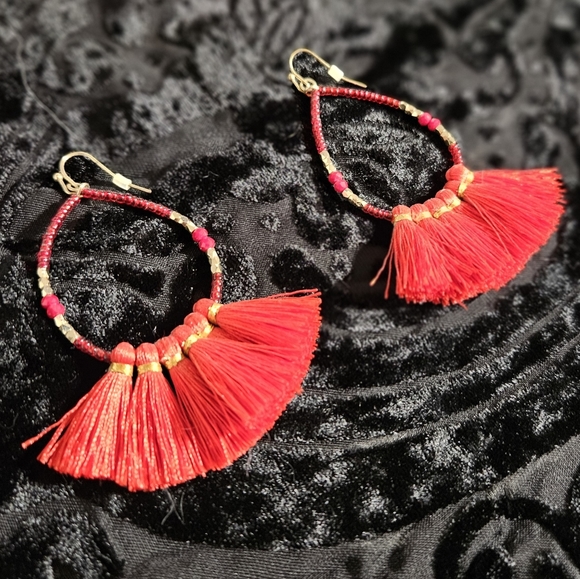 Beautiful Seed Bead and Tassel Dangle Earrings - Picture 3 of 4